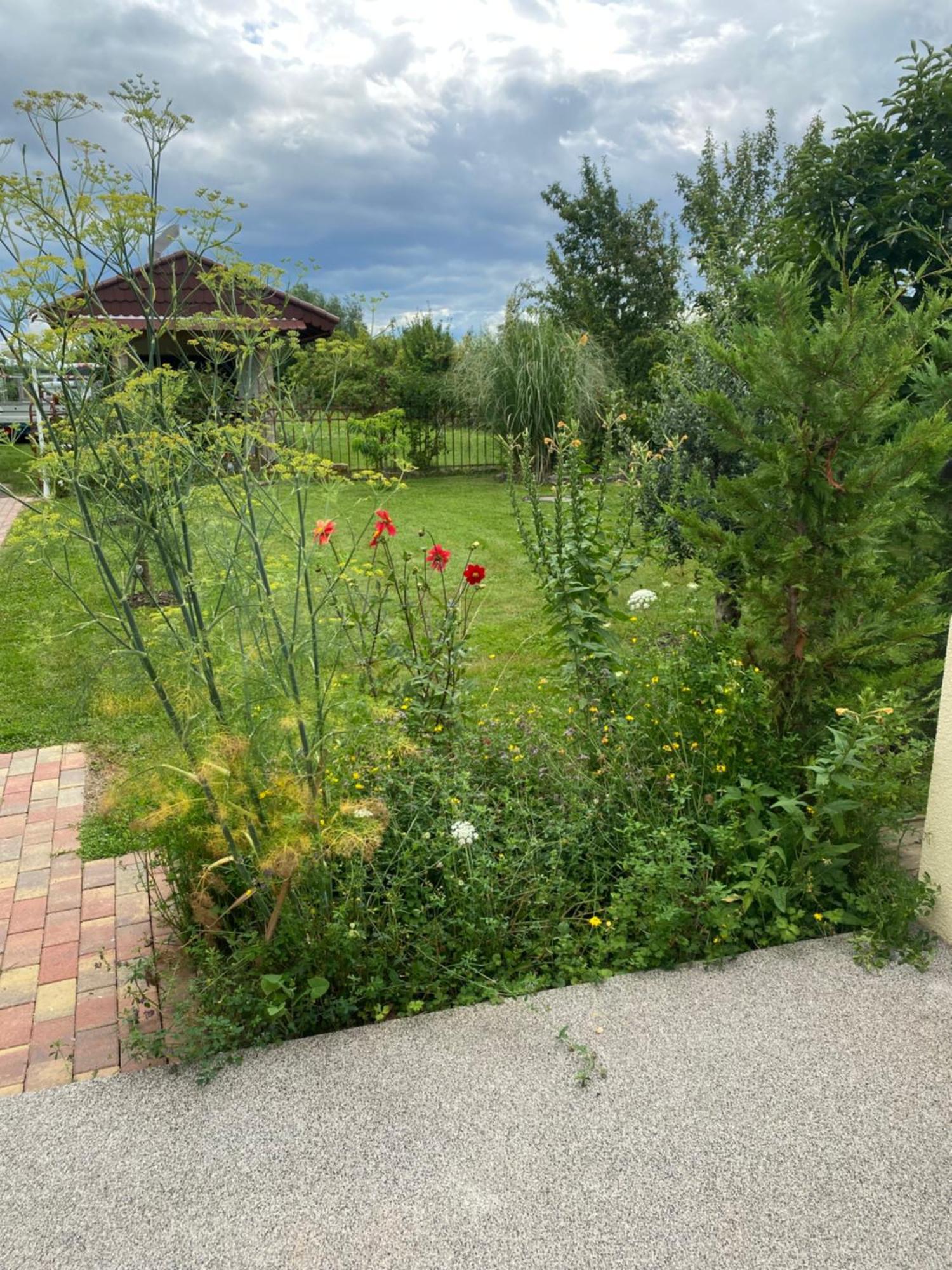 Ferienwohnung An Der Unditz 2 Neuried  Kültér fotó